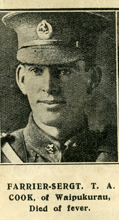 Portrait of Trooper Thomas Albert Cook