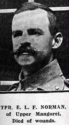 Portrait of Private Edward Lewis Fearon Norman