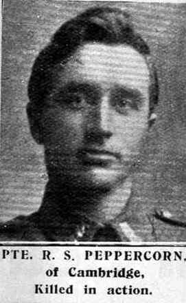 Portrait of Private Robert Sydney Peppercorn