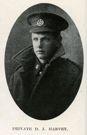 Portrait of Private Jack David Harvey