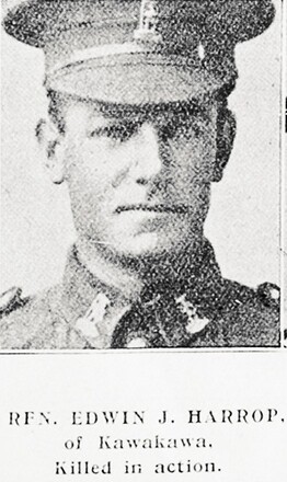 Portrait of Rifleman Edwin James Harrop