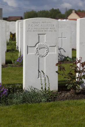 Portrait of Private Peter Gray Mcallister