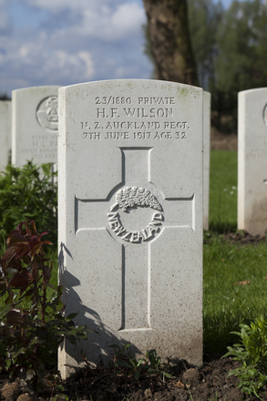 Portrait of Private Harry Frederick Wilson