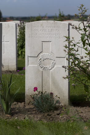 Portrait of Private Walter Collins