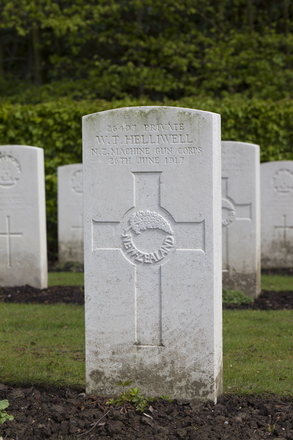 Portrait of Private William Taylor Helliwell