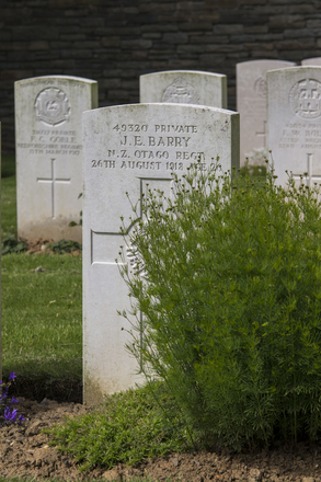 Portrait of Private John Edward Barry