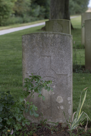 Portrait of Private Albert Haines