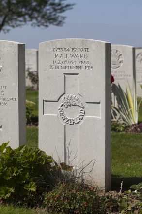 Portrait of Private Reginald Alf James Ward