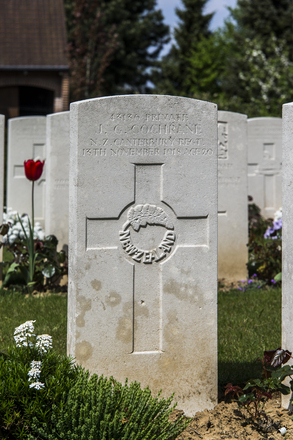 Portrait of Private John George Cochrane