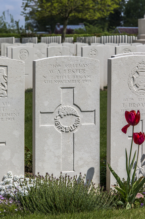 Portrait of Rifleman William Arthur Lester