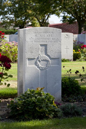 Portrait of Private Henry Anderson Cate