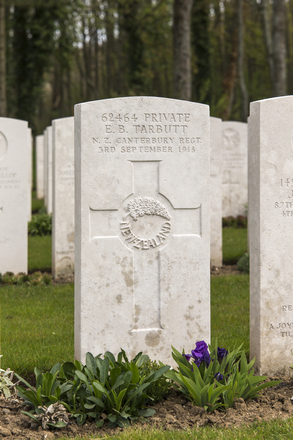 Portrait of Private Edwin Benjamin Tarbutt