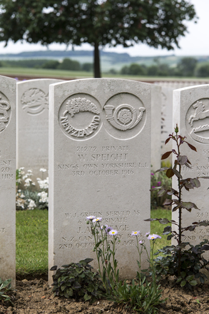 Portrait of Private William James Green