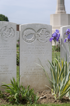 Portrait of Private John Reeves Aldred