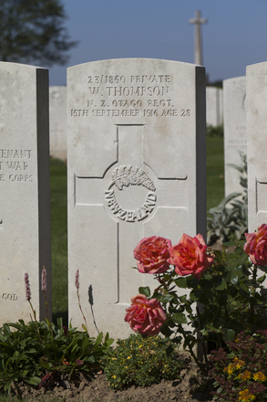 Portrait of Private Walter Thompson