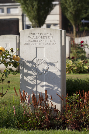 Portrait of Private William Arthur Egerton