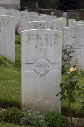 Portrait of Private Alexander Mcgregor White