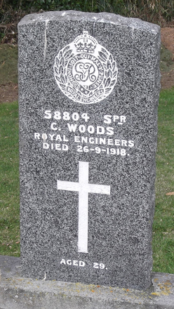 Portrait of Private Charles Woods